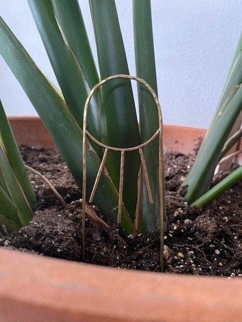 Brass Sunshine Plant Stake - Gold Plant Fork - Planter Support - Planter Decoration - - Pot Decor - Indoor Plant Decoration