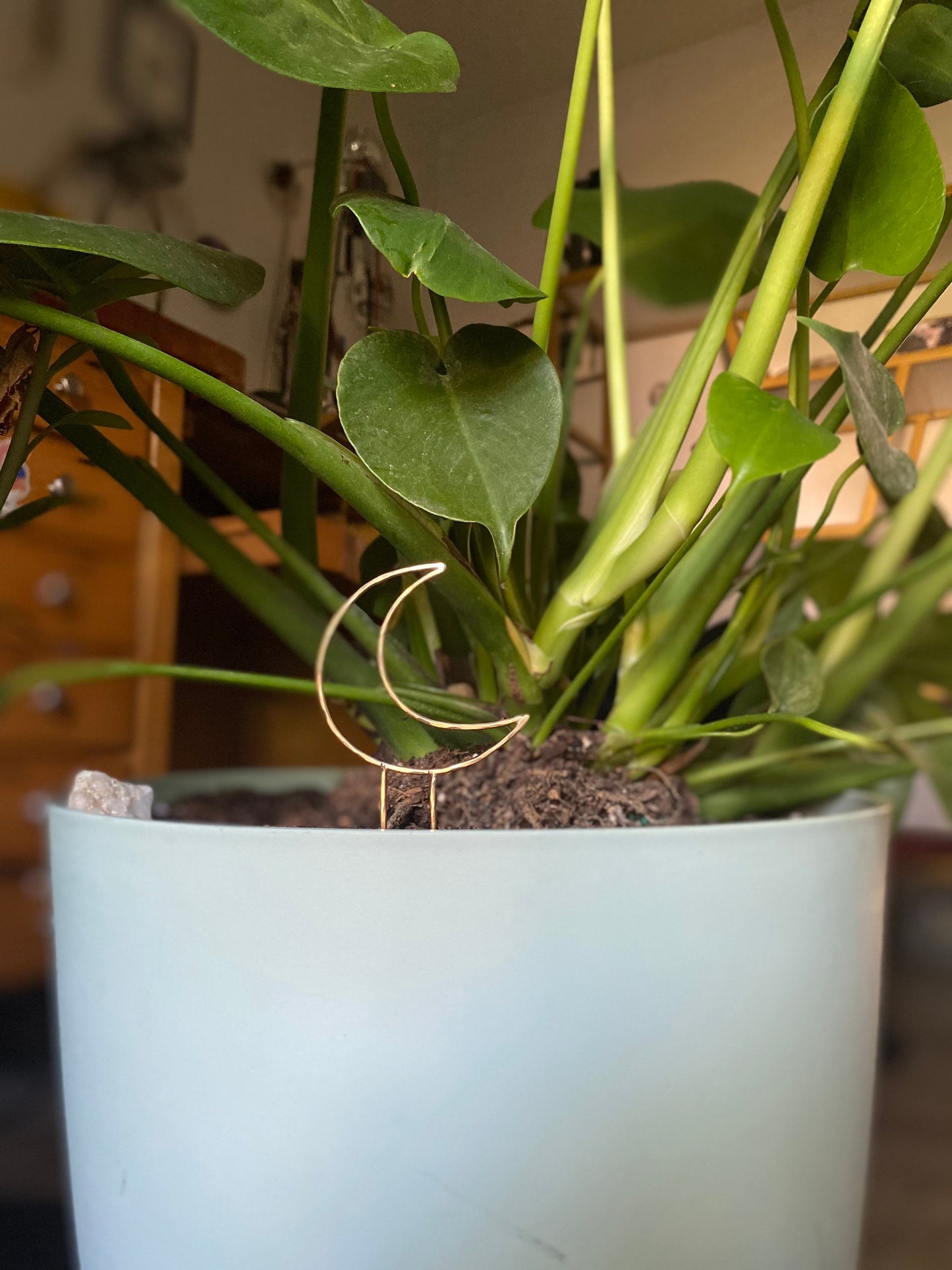 Brass Moon Plant Fork, Moon Plant Accessory, Crescent Moon Decor, Indoor Plant Decor, Moon Hairpin, Plant Stake, Jewelry for Plants, Stake