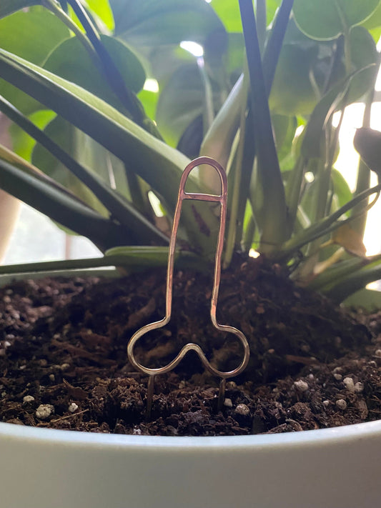 Brass Penis Planter Fork - Dick Decor - Metal Plant Decor - Hairpin - Indoor Plant Stake -Pot Decor Art - Small Dick Decoration -Plant Lover